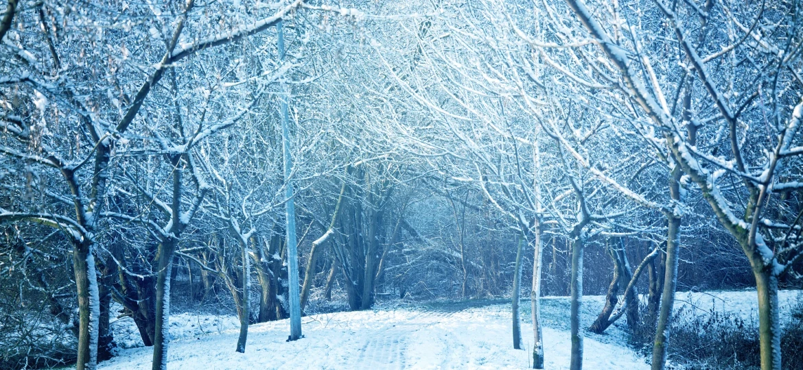 preparar-tu-vivienda-para-el-invierno